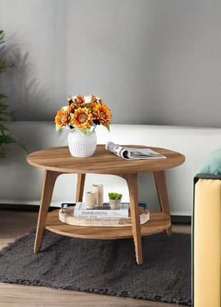 round Coffee Table, 2 Tier Coffee Table with Storage, for Living Room, 31.5 X 17.7 Inches, Easy to Assemble, Honey Brown ULCT243K41