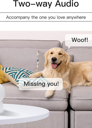 360° View 2K Pet Camera with Phone App, Indoor Security Camera, P2T Baby Monitor, Pan/Tilt, Motion & Sound Detection, Night Vision,Two-Way Audio, Works with Alexa