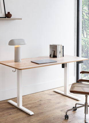 Electric Standing Desk, 47"X24" Height Adjustable Desk, Sit Stand up Desk with 4 Memory Buttons, Computer Workstation with Splice Board, Maple Wood