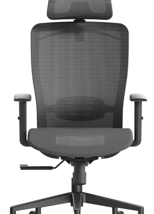 Ergonomic High Back Mesh Computer Chair - Comfy Home/Office Desk Chair with Lumbar Support, 3D Headrest, 2D Armrest, Heavy Duty Executive Gray